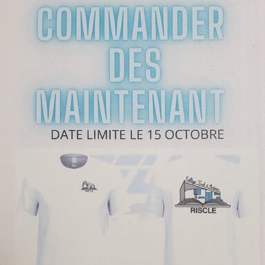 Affiche TShirt APE.jpg